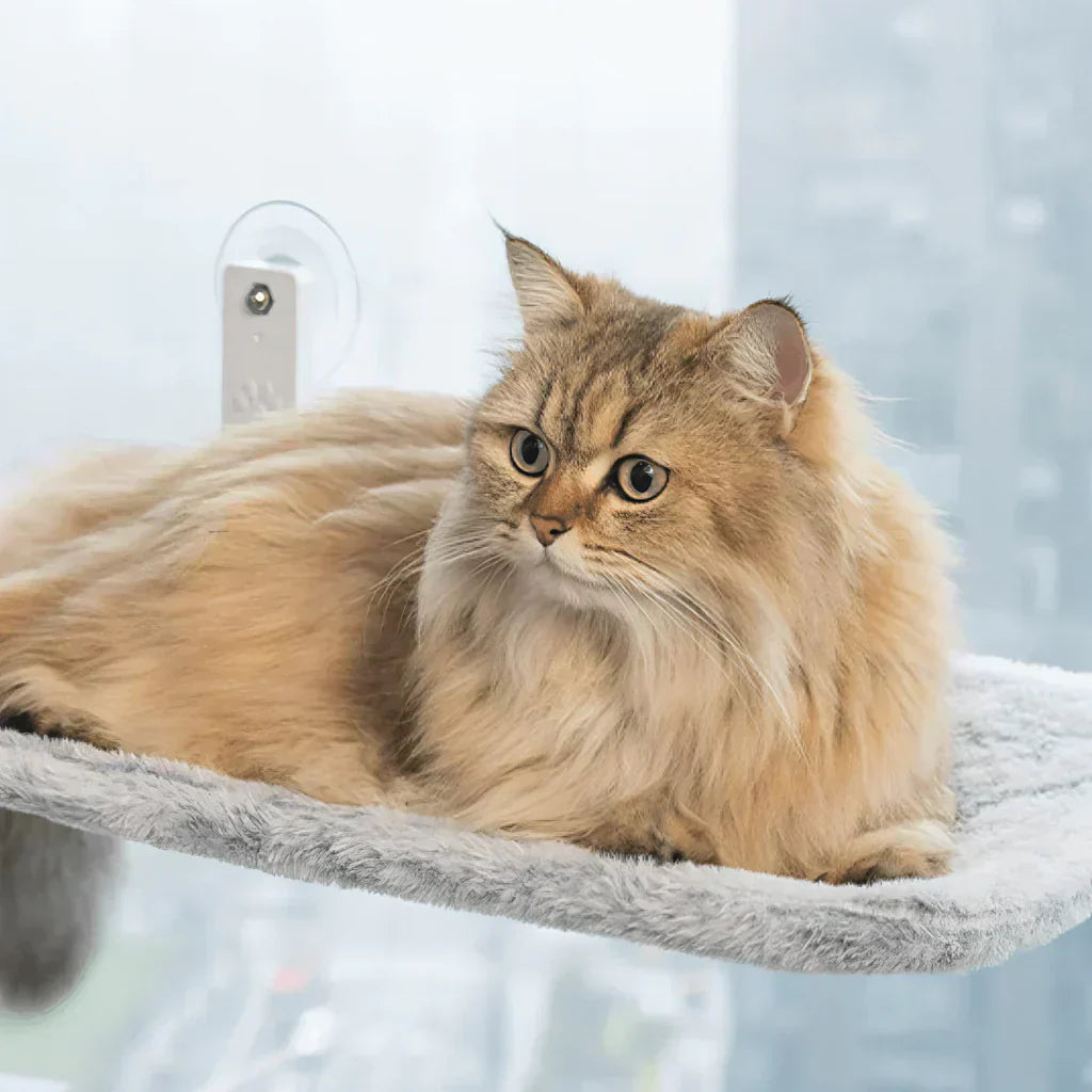 Foldable Window Hammock for Cats with Removable Cover and Strong Support