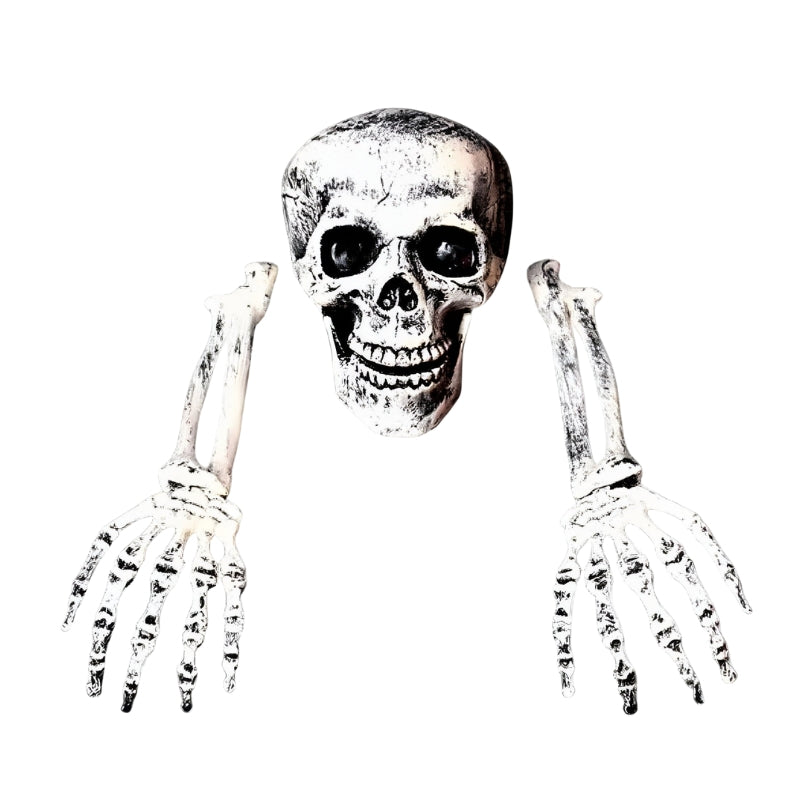 BoneChill Halloween Skeleton & Skull Decor – Real Creepy Atmosphere for Party & Haunted House