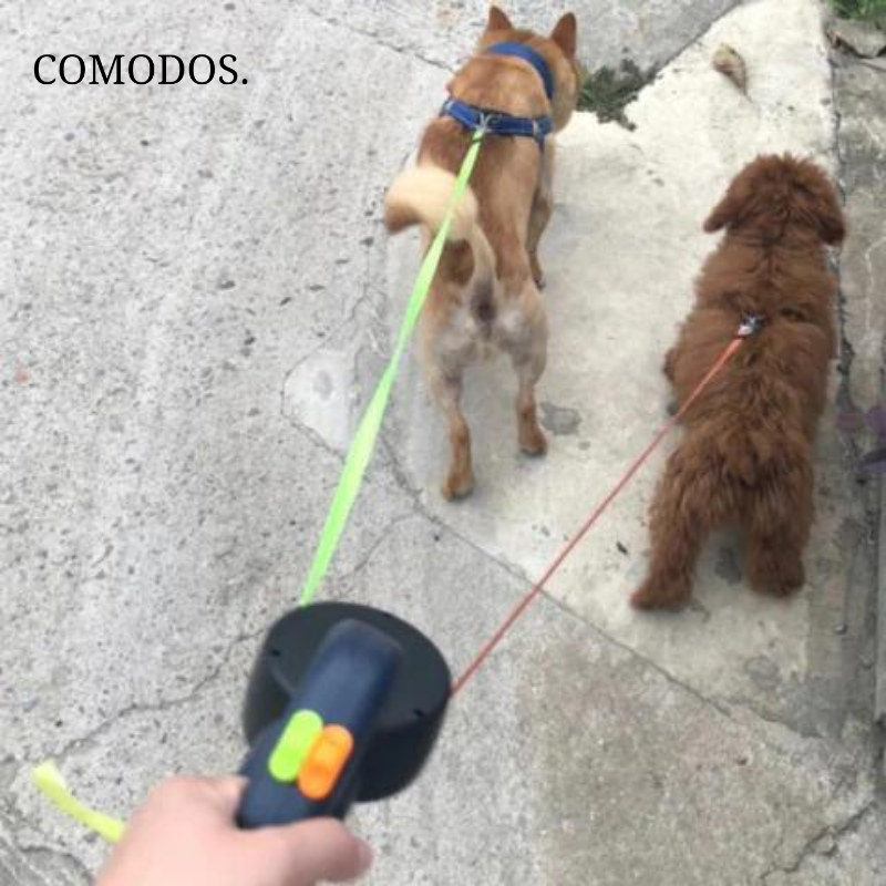 DuoStride Dog Leash | Effortless Walks with Your Dog
