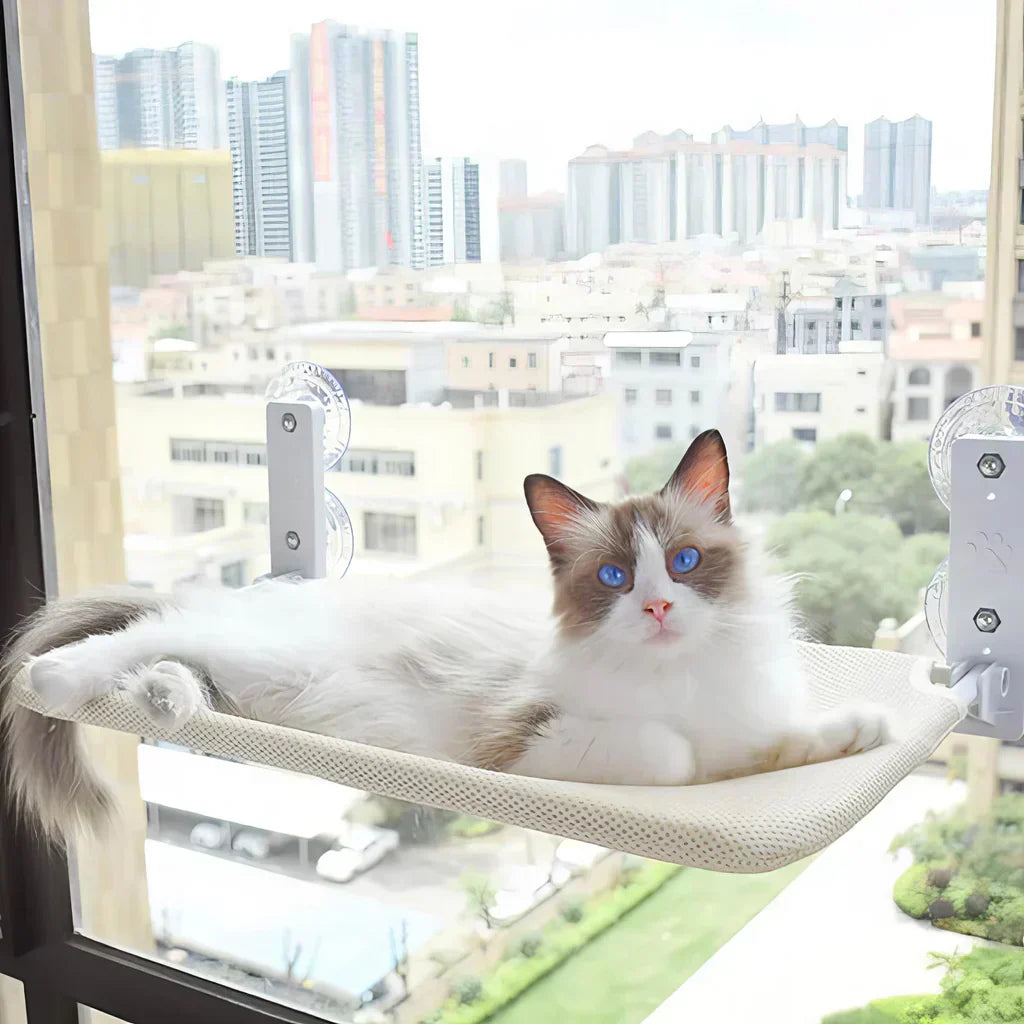 Foldable Window Hammock for Cats with Removable Cover and Strong Support
