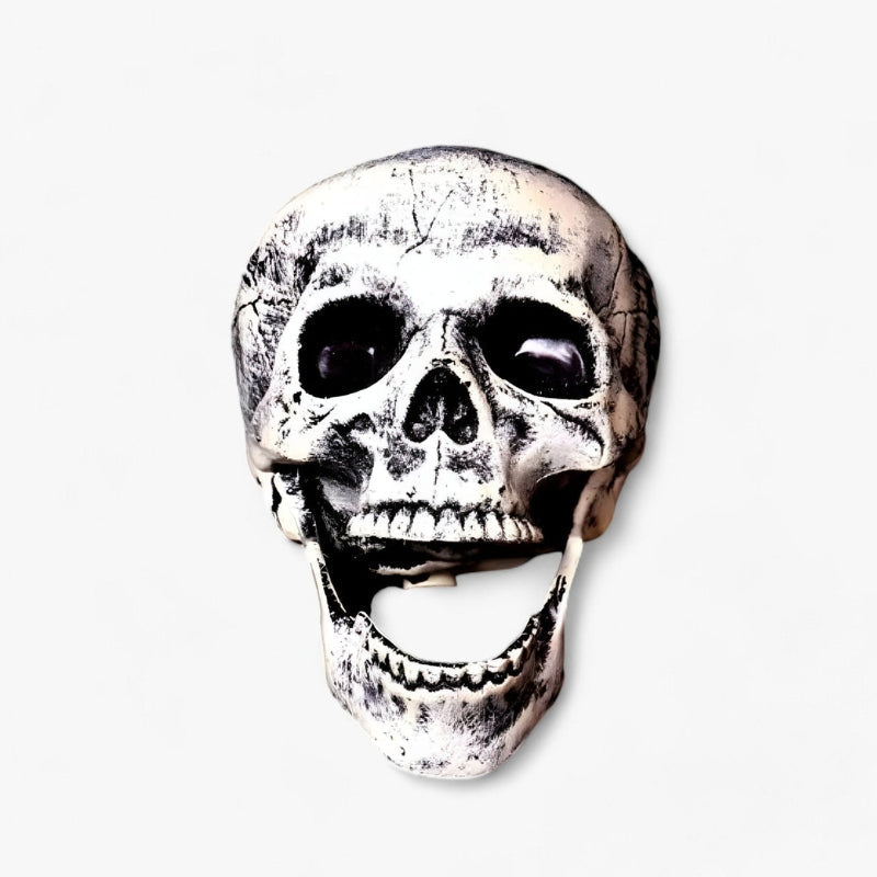 BoneChill Halloween Skeleton & Skull Decor – Real Creepy Atmosphere for Party & Haunted House