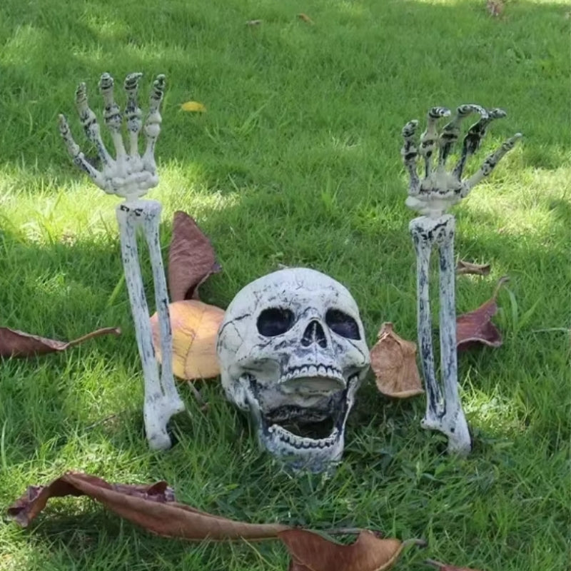 BoneChill Halloween Skeleton & Skull Decor – Real Creepy Atmosphere for Party & Haunted House