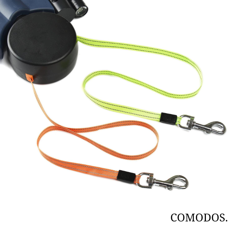 DuoStride Dog Leash | Effortless Walks with Your Dog