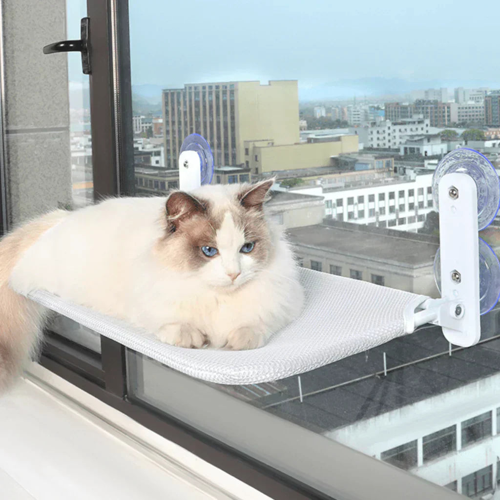 Foldable Window Hammock for Cats with Removable Cover and Strong Support