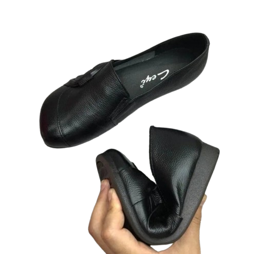 Elysian - Supportive Ballet Apartments