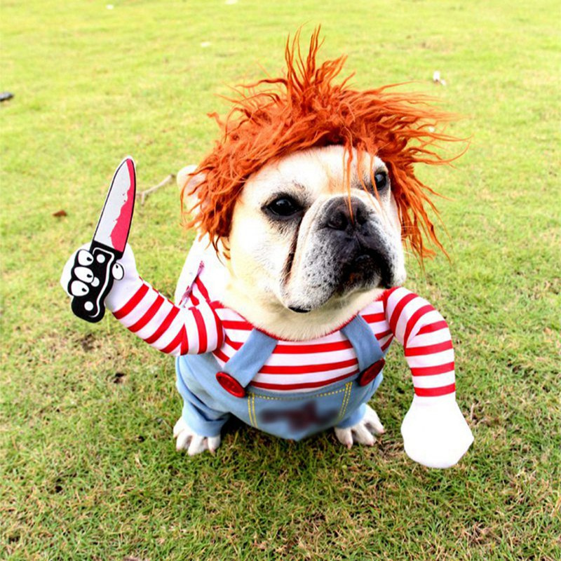 Pawfect Play – Funny Puppy Costume