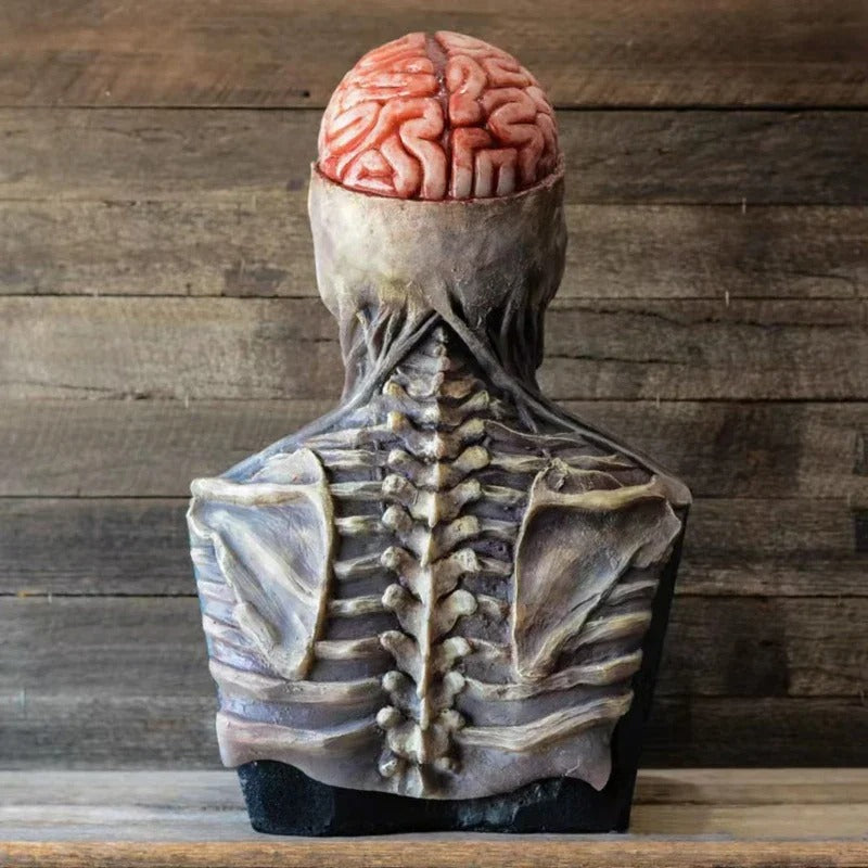 Death Shadow – Ultra-Realistic Halloween Skeleton Costumes