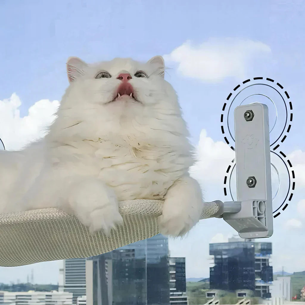 Foldable Window Hammock for Cats with Removable Cover and Strong Support