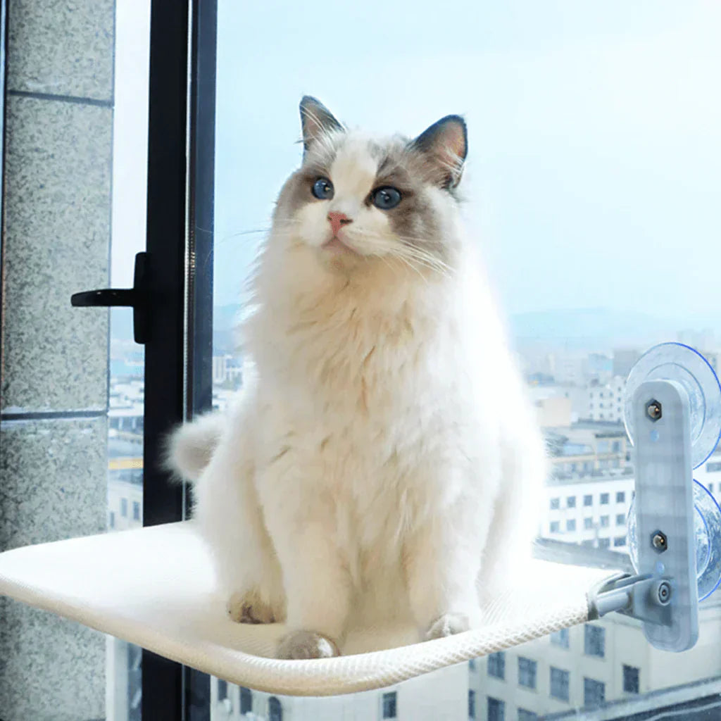 Foldable Window Hammock for Cats with Removable Cover and Strong Support