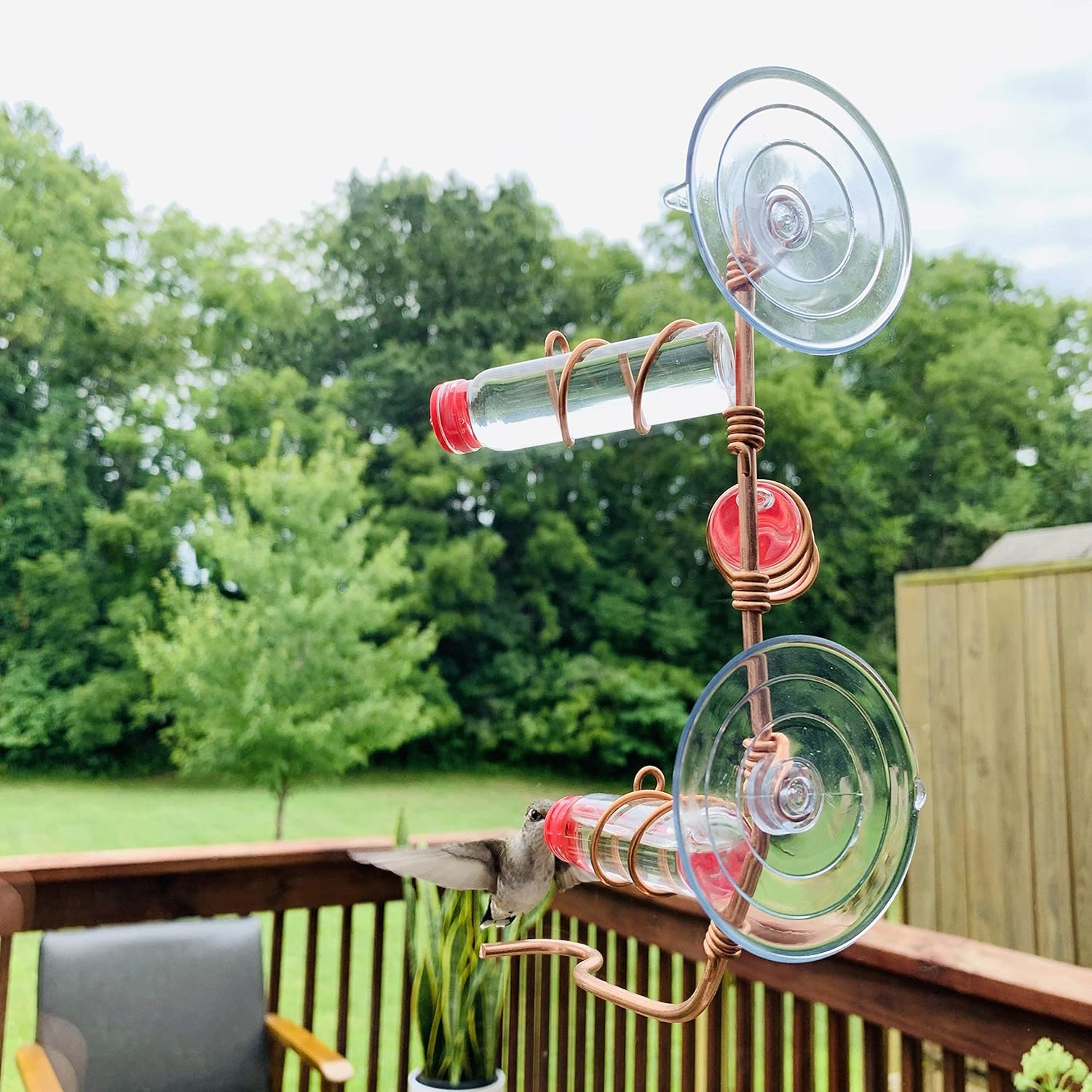 Window Hummingbird Feeder | Clear Glass Feeder for Close-Up Bird Watching