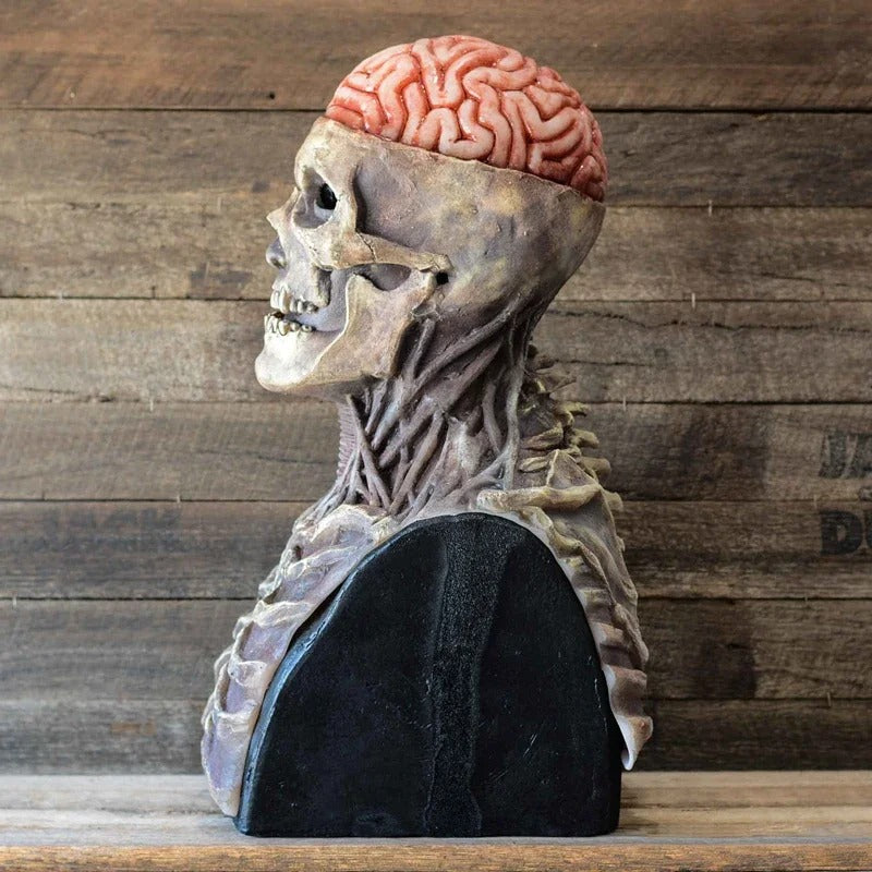 Death Shadow – Ultra-Realistic Halloween Skeleton Costumes